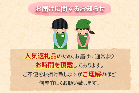 ［玄人の一品］うなぎ白焼き 2尾 合計300g以上 宮崎県産鰻 化粧箱入り 蒲焼タレ付【C427】