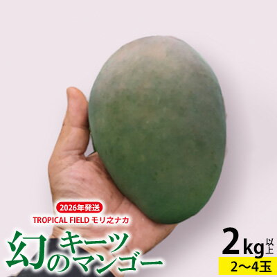 【ふるさと納税】2026年発送【TROPICAL FIELD モリ之ナカ】幻のキーツマンゴー　2kg以上 フルーツ 幻 果物 期間限定 数量限定 先行予約 プレミアム 南国 プレゼント お土産 ギフト くだもの 沖縄 青果 デザート おすすめ 人気 冷蔵 夏 スイーツ
