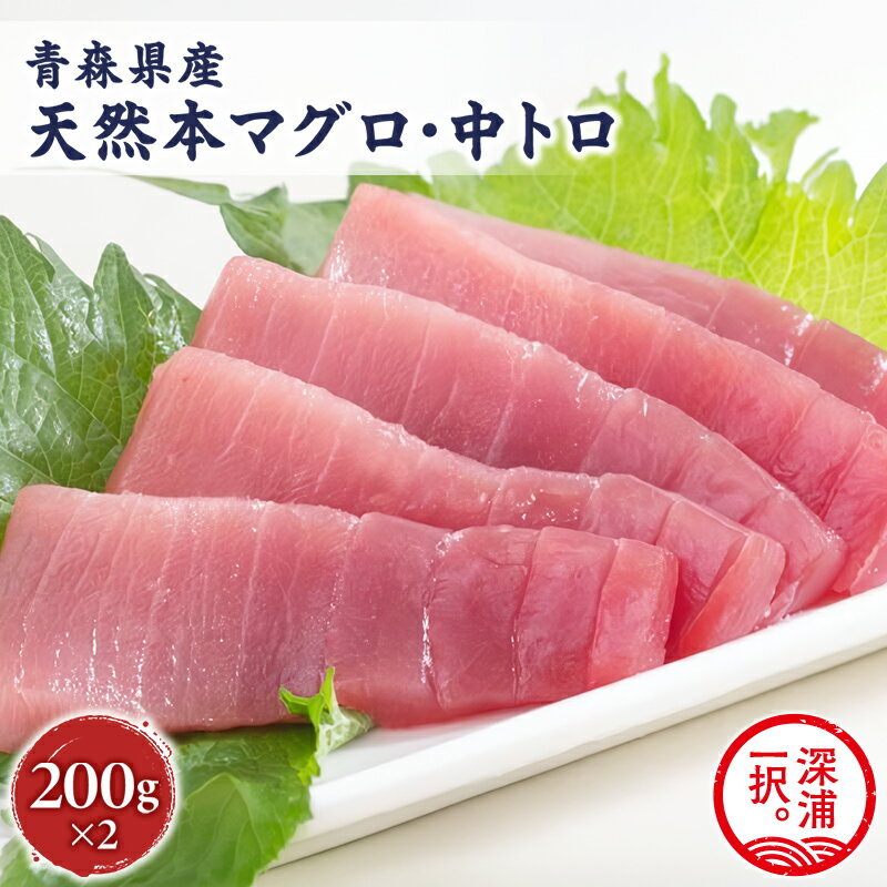 【ふるさと納税】天然 本マグロ 中トロ 計400g 国産 本鮪 まぐろ マグロ クロマグロ 鮪 刺身 丼ぶり 寿司 海鮮 魚介 贅沢 お取り寄せ 詰め合わせ グルメ 産地直送 送料無料 冷凍 あおもり海山