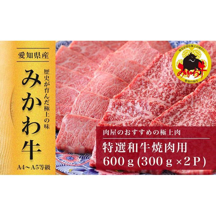 【ふるさと納税】【みかわ牛】特選和牛焼肉用600g
