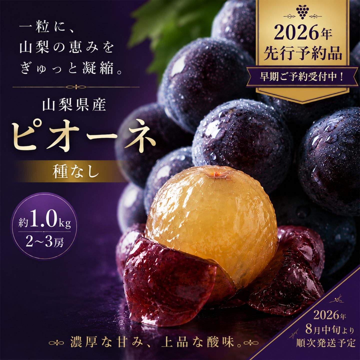 【ふるさと納税】【2026年先行予約】山梨県産　種なし ピオーネ 2～3房(約1.0Kg） | 8月中旬以降お届け 送料無料 山梨 やまなし ブドウ 葡萄 ピオーネ 新鮮　甘い　美味しい　ジューシー　朝採れ　ぶどう　たねない　種無し　黒ぶどう　【冷蔵】黒ぶどう