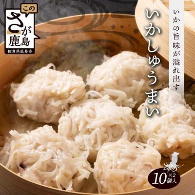 ふるさと納税 鹿島市 逸品!いかしゅうまい 10個入×2P