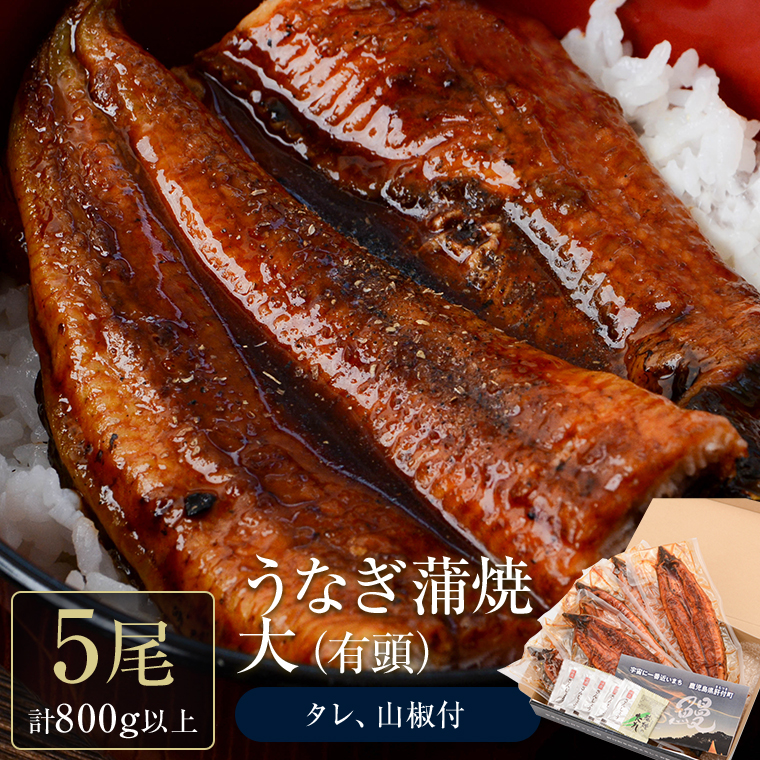 【C57003 】うなぎ蒲焼・大(有頭)(5尾・計800g以上、タレ、山椒付)