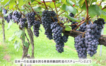 青森ぶどうじゅうす 1L×5本【青森県鶴田町産、ぶどう、スチューベン】
