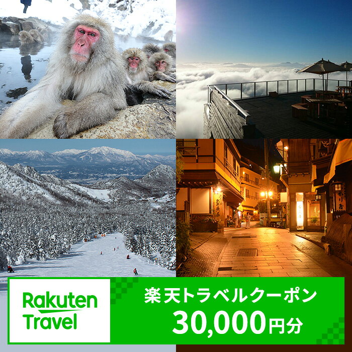 【ふるさと納税】長野県山ノ内町の対象施設で使える　楽天トラベルクーポン　寄付額100,000円(クーポン 30,000円)　 長野 宿泊 宿泊券 ホテル 旅館 旅行 旅行券 観光 トラベル チケット 旅 宿 券