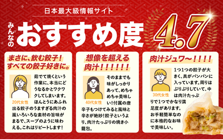 とよはし お試しサイズ『最強肉汁餃子』10個入り 簡易包装　新感覚！餃子