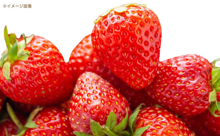 完熟苺のとろーりジャム / ジャム いちごジャム いちご 苺 あきひめ / 恵那市 / 阿部農園 [AUGA007]