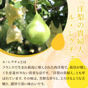 2025年産先行予約 ル・レクチェ 食べ尽くしセット 【 新潟県 新発田市 髙橋農園 ル・レクチェ ルレクチェ 西洋梨 西洋なし コンポート ジャム セット プレゼント 数量限定 C10_01 】