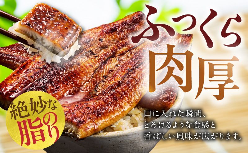 【土用の丑の日までにお届け】うなぎ 蒲焼き 暴れ盛り 合計 900g【鰻 真空パック 簡単調理 訳あり サイズ不揃い 人気 惣菜 うな重 うな丼 ひつまぶし にも 大阪 泉佐野 大阪府 泉佐野市】