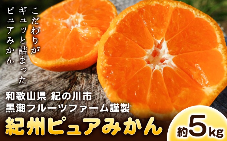 
                  紀州ピュアみかん100 5kg 黒潮フルーツファーム《11月下旬-12月下旬頃出荷》和歌山県 紀の川市 みかん フルーツ 果物
                
