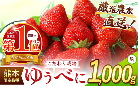 厳選農家直送 ゆうべに 約1000g | イチゴ いちご 苺 果物 くだもの フルーツ 熊本県 玉名市