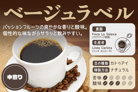 《定期便12ヶ月》コーヒー豆 自家焙煎 ホンジュラス スペシャルティコーヒー 焙煎豆 200g×1パック 中挽き【ベージュ】