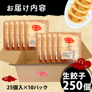 【 メディア出演多数 】 やさしい 生 餃子 250個 餃子