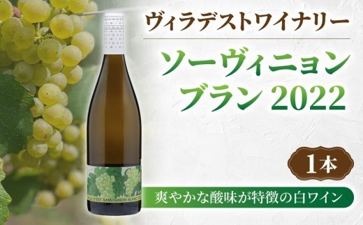 
                  日本ワインコンクール金賞受賞！長野ワイン ソーヴィニョンブラン（白ワイン）｜【ヴィラデストワイナリー】長野 東御 日本ワイン ワイン GI長野 
                