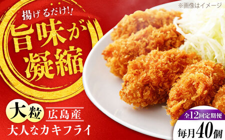 【全12回】牡蠣 冷凍カキフライ40個 牡蠣[XCU010]
