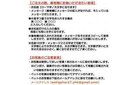 ペットの可愛いお写真をキーホルダーに♪うちの子アクリルキーホルダー（デザインA） 【B】ピンク
