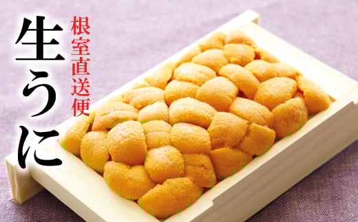 G-40001 エゾバフンウニ約60～70g×1折[11月中旬以降発送]