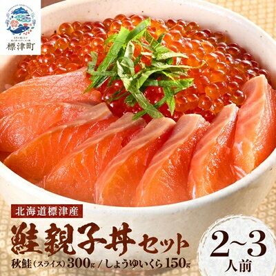【ふるさと納税】鮭親子丼セット【純標津産】2～3人前用 イクラ 北海道 人気 おすすめ サケ サーモン 魚卵 天然【配送不可地域：離島】【1176412】