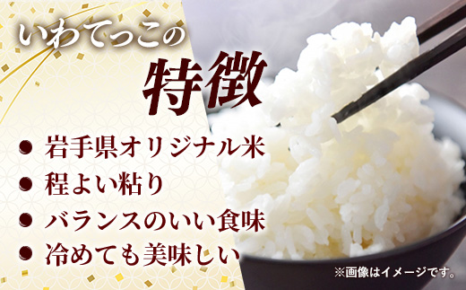 令和7年産岩手町産いわてっこ精米 10kg 米 白米 ごはん 新鮮 粘り 甘み おすすめ 銘柄 送料無料 農家直送 こめ 岩手 岩手町 岩手県 Mふぁ～む