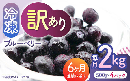 【6回定期便】【訳あり】 冷凍ブルーベリー 小粒 2kg（500g×4pc） 【すみれファーム】[ZEP053]