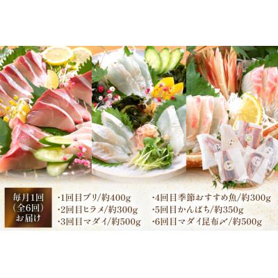 ふるさと納税 日向市 【毎月定期便】新鮮 旬のお刺身 食べ比べ 全6回 |  | 01