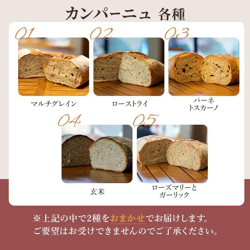 カンパーニュセット ハード系パン 種類ランダム 本場欧州 カンパーニュセット【2種 焼成前各1kg】