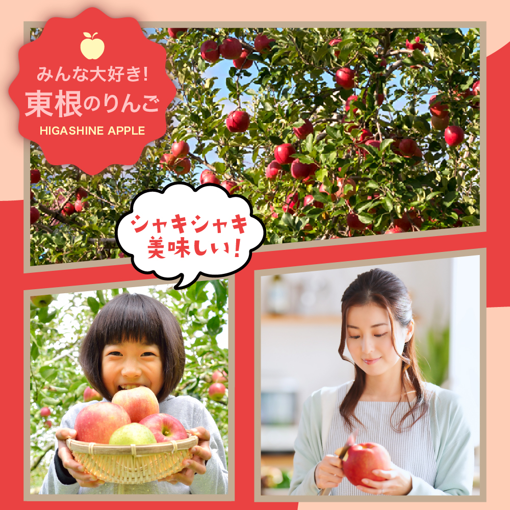 【2026年産】※訳あり※ サンふじ満杯詰(約4.5kg) 山形県 東根市 東根農産センター提供 hi027-203-r8