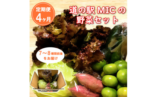 
定期便 4回 旬の野菜セット 7～8種類前後 野菜 サラダ 新鮮 葉物 根菜 香味 定番野菜 愛媛 愛南
