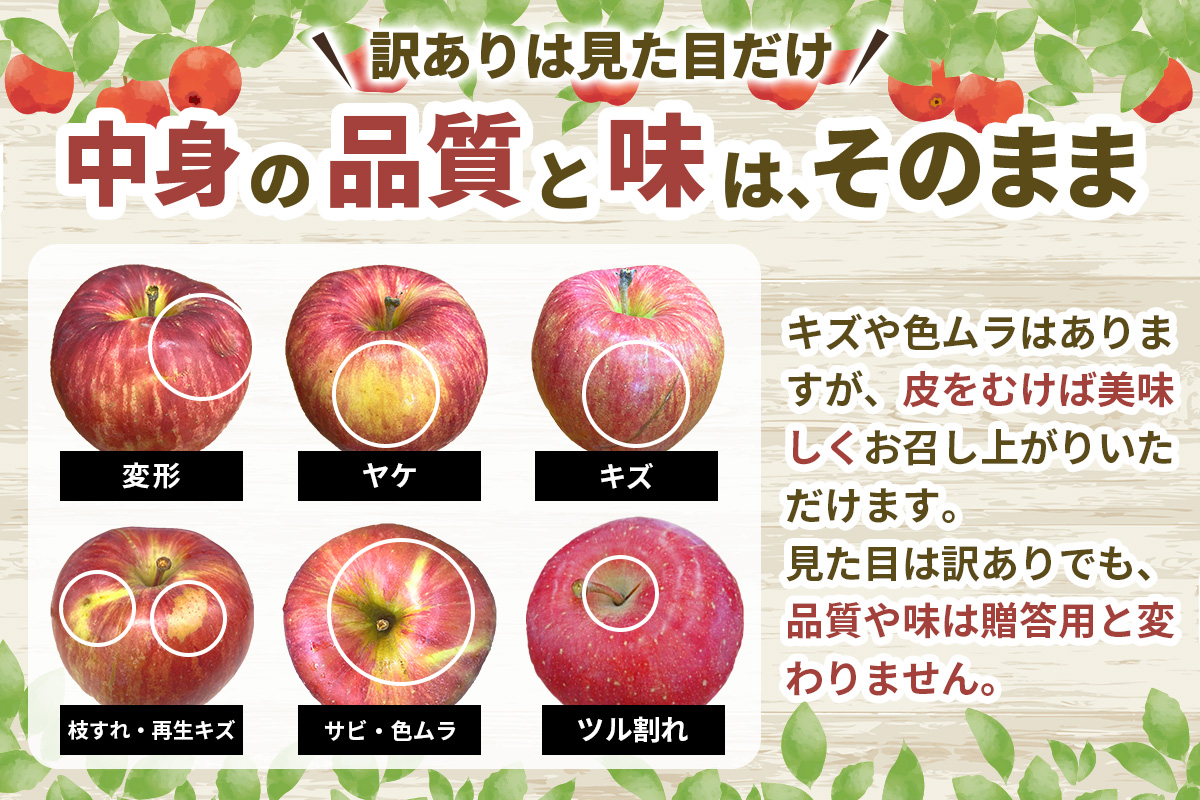 [訳あり] りんご サンふじ 3kg (9玉から12玉入り 3kg 1箱)  見た目にわけあり 味はそのまま｜令和8年産 2026年産 青森 津軽 つがる りんご リンゴ サンフジ 家庭用 訳あり 訳アリ 果物 旬 青森りんご [0838]