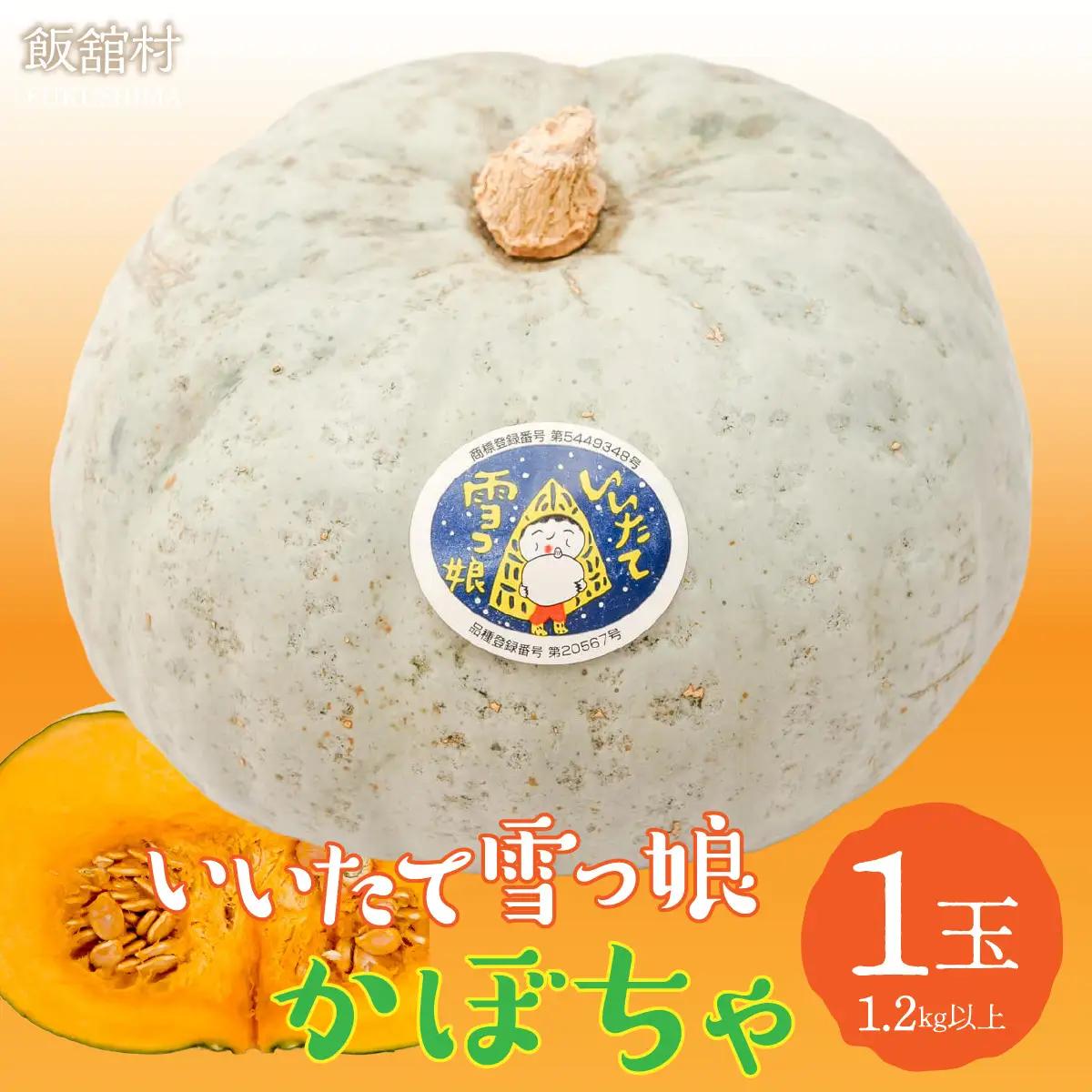 【数量限定・11月頃お届け】飯舘村名物 「いいたて雪っ娘」かぼちゃ（1玉1.2kg以上） ITTAB007