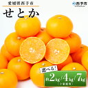 【ふるさと納税】先行予約＜愛媛県西予市産 せとか ご家庭用 約2kg／4kg／7kg＞ 訳あり 不揃い 傷 果物 フルーツ みかん ミカン 蜜柑 セトカ オレンジ 柑橘類 選べる 甘い 期間限定 食べて応援 特産品 宇都宮物産 【常温】『2025年2月下旬～4月上旬迄に順次出荷予定』