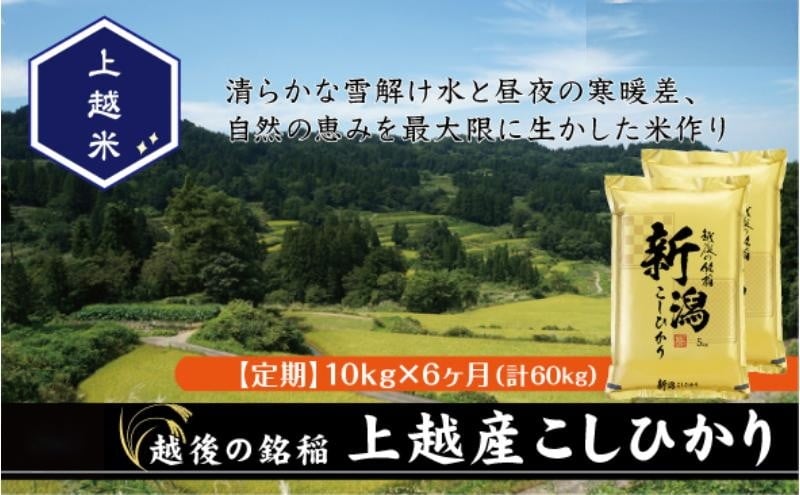 
            令和7年産 新潟県上越産こしひかり 精米 10kg 6か月定期便 上越市 米 コメ コシヒカリ
          