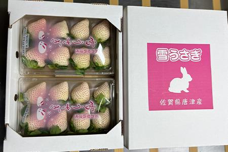 『先行予約』【令和8年2月中旬発送】唐津産 白いちご「雪うさぎ 」苺 イチゴ 希少 果物 フルーツ 脇山農園