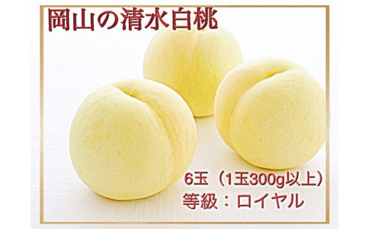 Iz-1【令和8年発送・先行予約】岡山県産　清水白桃（1玉300ｇ以上）6玉　等級：ロイヤル　化粧箱入り