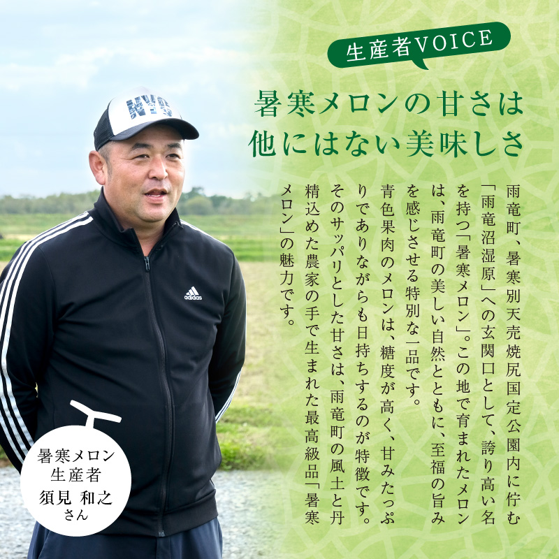 【令和7年産先行受付】北海道産 暑寒メロン  2玉(3.2kg以上 × 1箱)《2025年7月より発送予定》