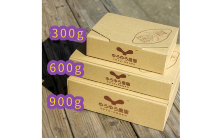 干し芋 紅はるか 900g 山田のややこ -おいものこ-ほしいもセット | 干し芋 干し芋 干し芋 干し芋 干し芋