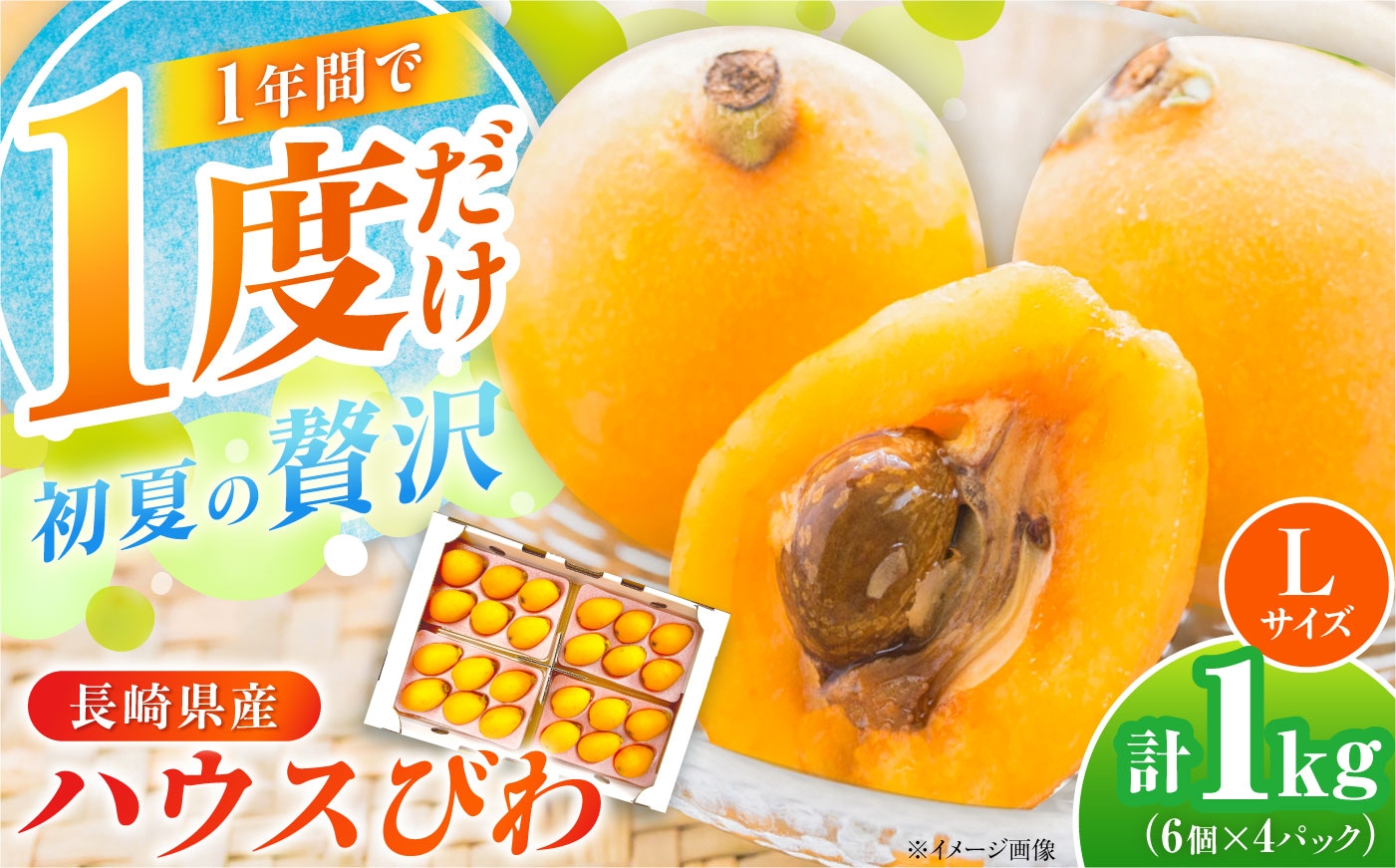 
                  ハウスびわ1kg　Lサイズ24個（6個×4P）＜2027年4月お届け＞ 長崎県/やまぐち農園 [42AACQ004] びわ ビワ 枇杷 果物 フルーツ ハウス 果実 長崎県産 国産
                