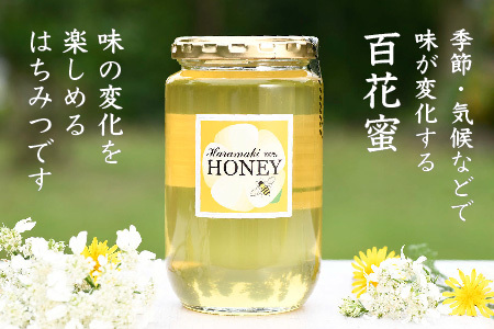 【数量限定】2023年産 国産天然蜂蜜（春の蜜）500g & 470g　(H049114)