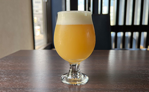 【世界の品評会で最優秀賞受賞の醸造所からお届け】クラフトビール　限定6種類　6本セット【配送不可地域：離島】