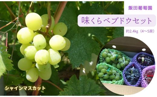 【先行予約】味くらべ ブドウ セット 2.4kg( シャインマスカット と 旬のぶどう )ぶどう 葡萄 ※2025年8月下旬～10月中旬頃に順次発送予定 ※沖縄・離島への配送不可