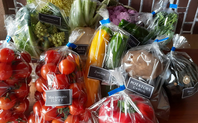 【2024年8月上旬頃から発送】農家直送！ミニトマト500g入り！朝採れ野菜詰め合わせボックスS（6～8品入り）