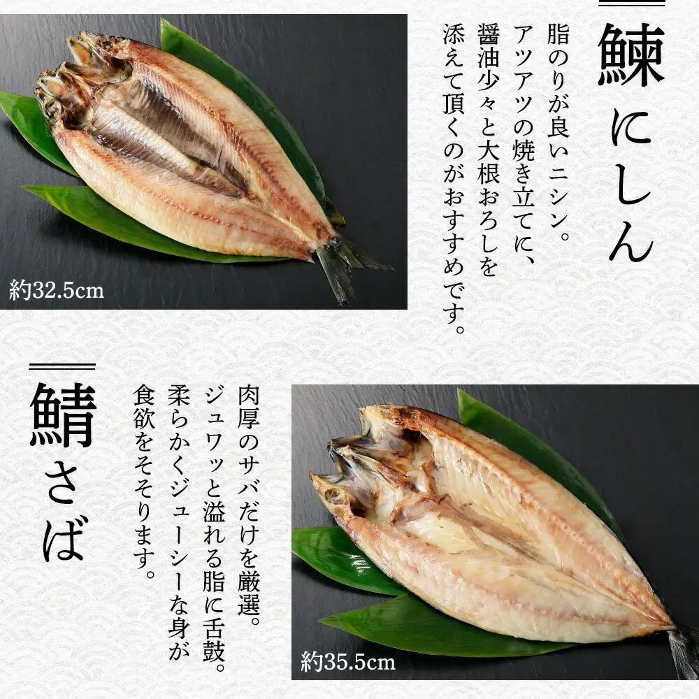 ふっくらやわらか 干物 9点セット 真ホッケ サンマ カレイ イワシ 秋鮭 コマイ ニシン サバ 秋刀魚 宗八鰈 鰯 鮭 鰊 鯖 海鮮 ほっけ 送料無料 北海道 魚介 干物 秋刀魚 鮭 2918