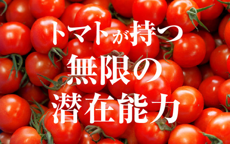 じゅわっと極旨のフルーツミディトマト  (バラ箱詰め) 約2kg（1kg×2箱）幸せ寄附額  とまと トマト フルーツトマト ミディトマト ミニトマト トマトジュース 野菜 やさい 人気 新鮮 産地直