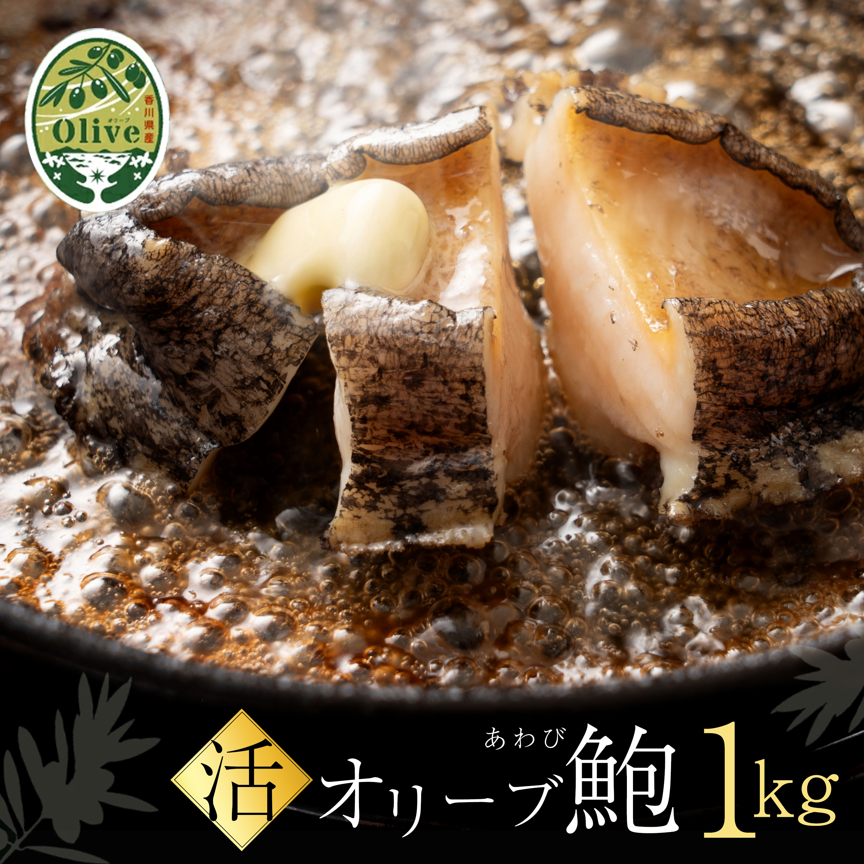 【ふるさと納税】 あわび オリーブあわび 殻付き 約1kg(10～12個程度) [ 鮑 1kg 特産品 送料無料 食品 おすすめ お取り寄せ お取り寄せグルメ 海鮮 魚介 ステーキ 酒蒸し バター焼き 鉄板焼き BBQ キャンプ 返礼品 瀬戸水産 ]【配送不可地域：北海道・東北・沖縄県・離島】