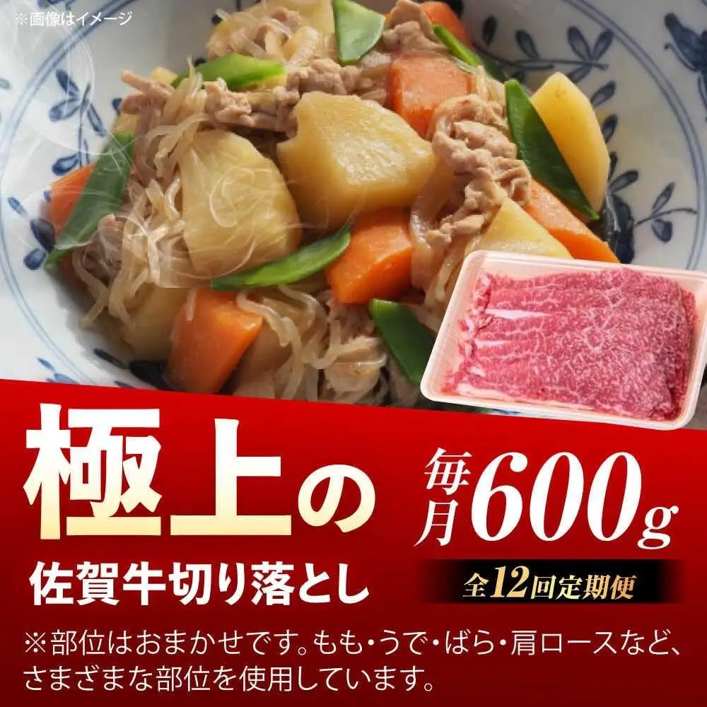 【12回定期便】 佐賀牛 切り落とし 600g 牛切落し [UEM033]