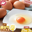 【ふるさと納税】【半澤鶏卵】《定期便》 山形県産 赤がら卵25個（破損補償5個含む）×3回 国産鶏種もみじ F2Y-5487
