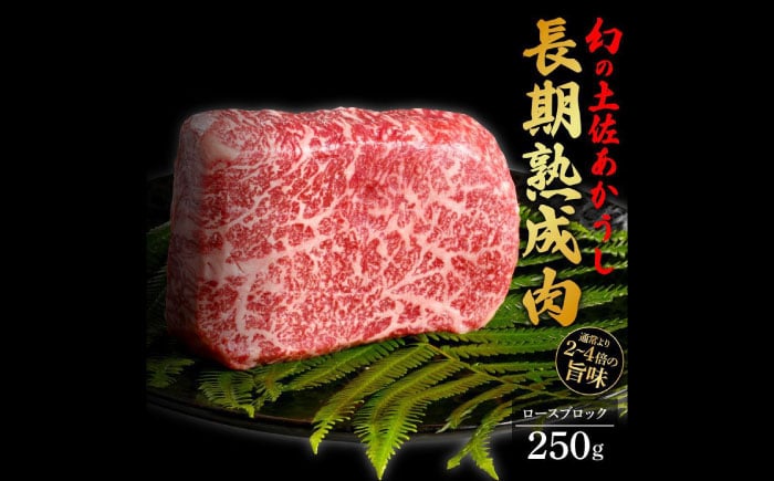 
エイジング工法 熟成肉 土佐あかうし 特選ロース ブロック 約250g (冷凍) 【株式会社LATERAL】 [ATAY050]
