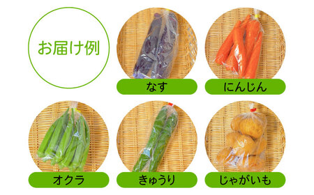 【6回定期便】直売所より発送！季節の野菜セット 7〜10品目 / 野菜定期便 / ながさき南部生産組合 [SBW004]