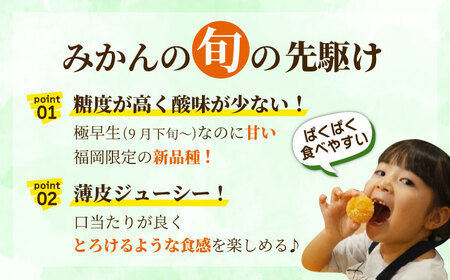【9月中旬より順次発送】【福岡限定】オリジナルブランド「早味かん」約4kg 吉富町/南国フルーツ株式会社[BGAG014]