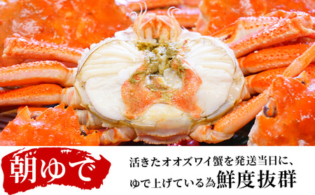 北海道産【 朝ゆで 】訳ありオオズワイガニ 800g詰 道産品 オオズワイ カニ 蟹 規格外品 不揃い 訳アリ 訳有り